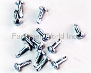 fastener-world(SUN THROUGH INDUSTRIAL CO., LTD. )