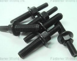 fastener-world(PPG INDUSTRIES INTERNATIONAL INC. TAIWAN BRANCH )