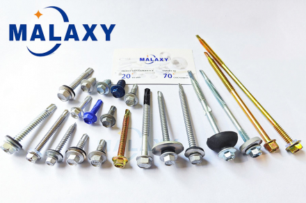 Malaxy’s New Chapter:  Expanding into Russia & Latin America Malaxy’s New Chapter:  Expanding into Russia & Latin America